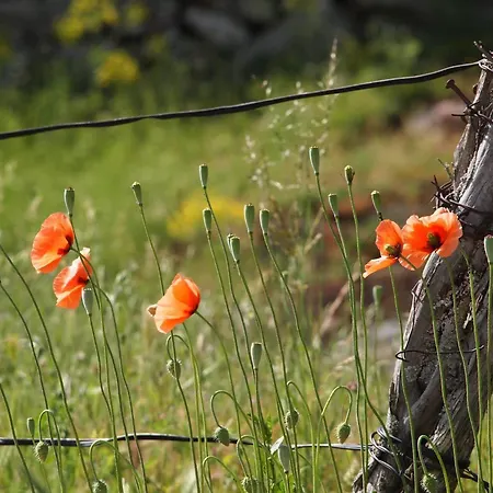 Hotel Real La Almazuela Montenegro de Cameros